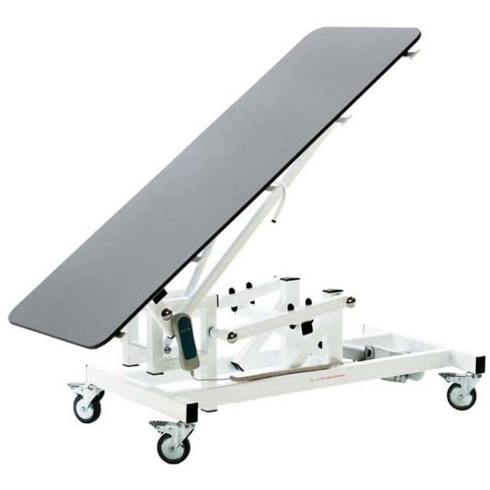 Veterinary Examination Table